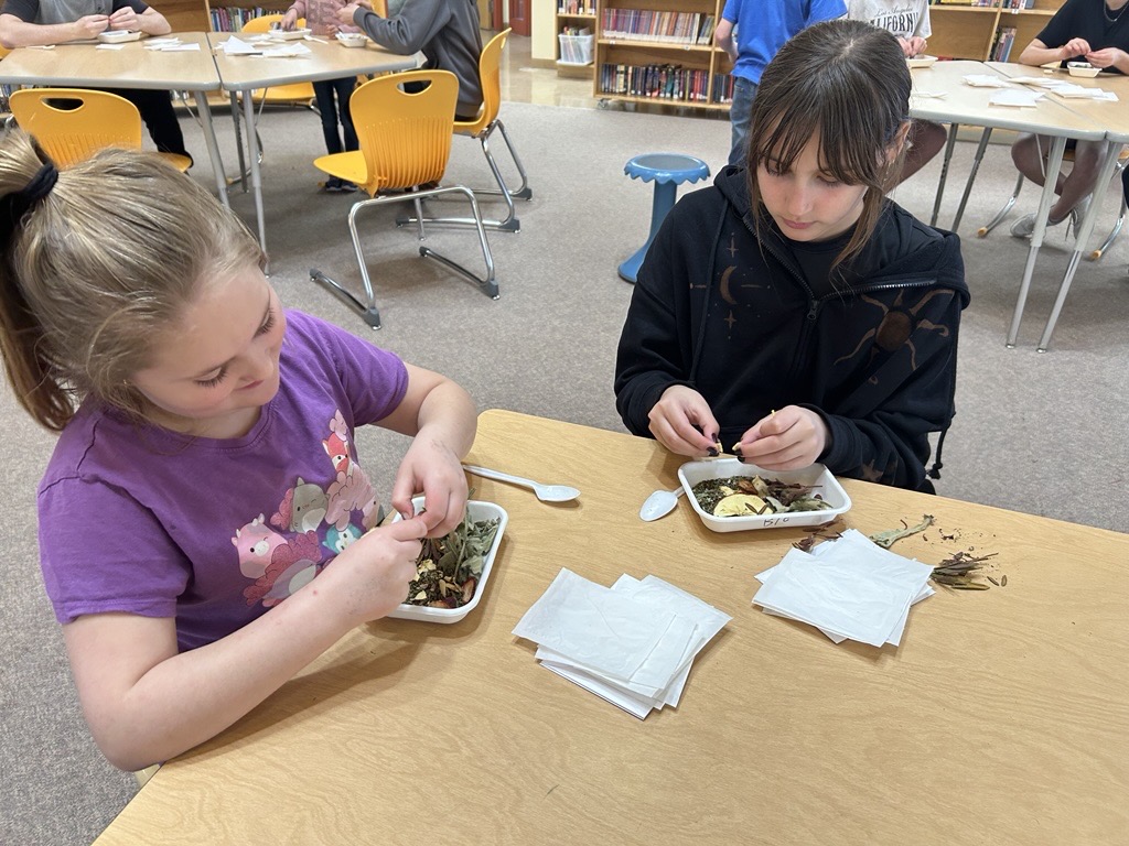 Traditional Tea Medicine 2 kimberley ikebuchi
