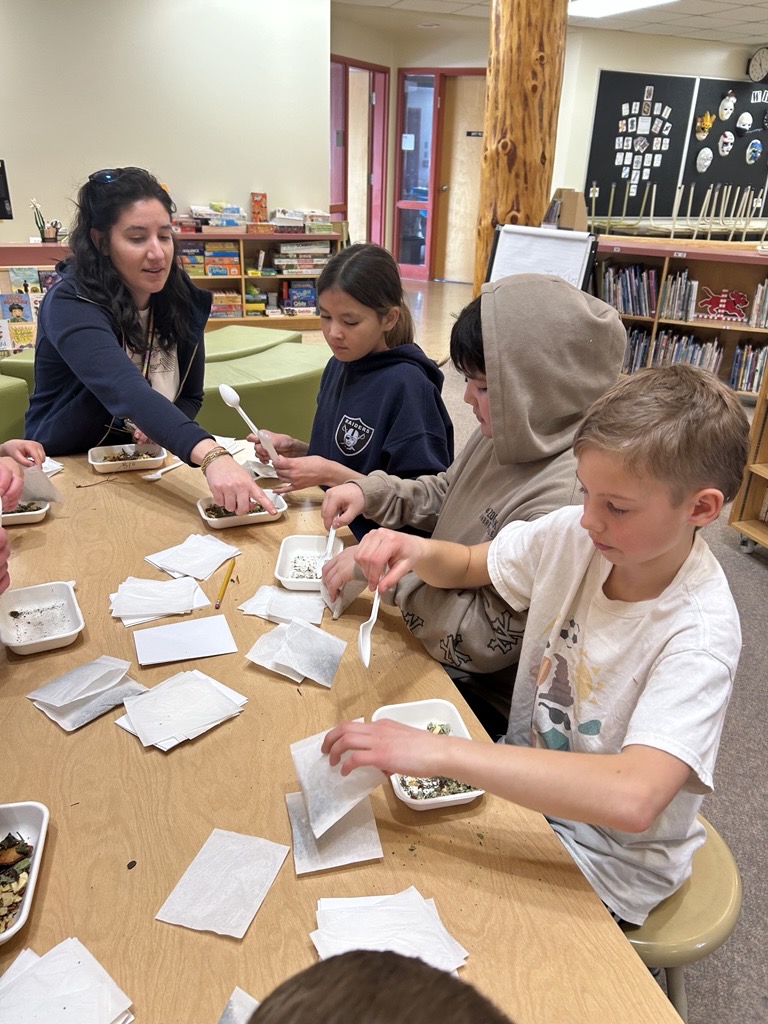 Traditional Tea Medicine kimberley ikebuchi