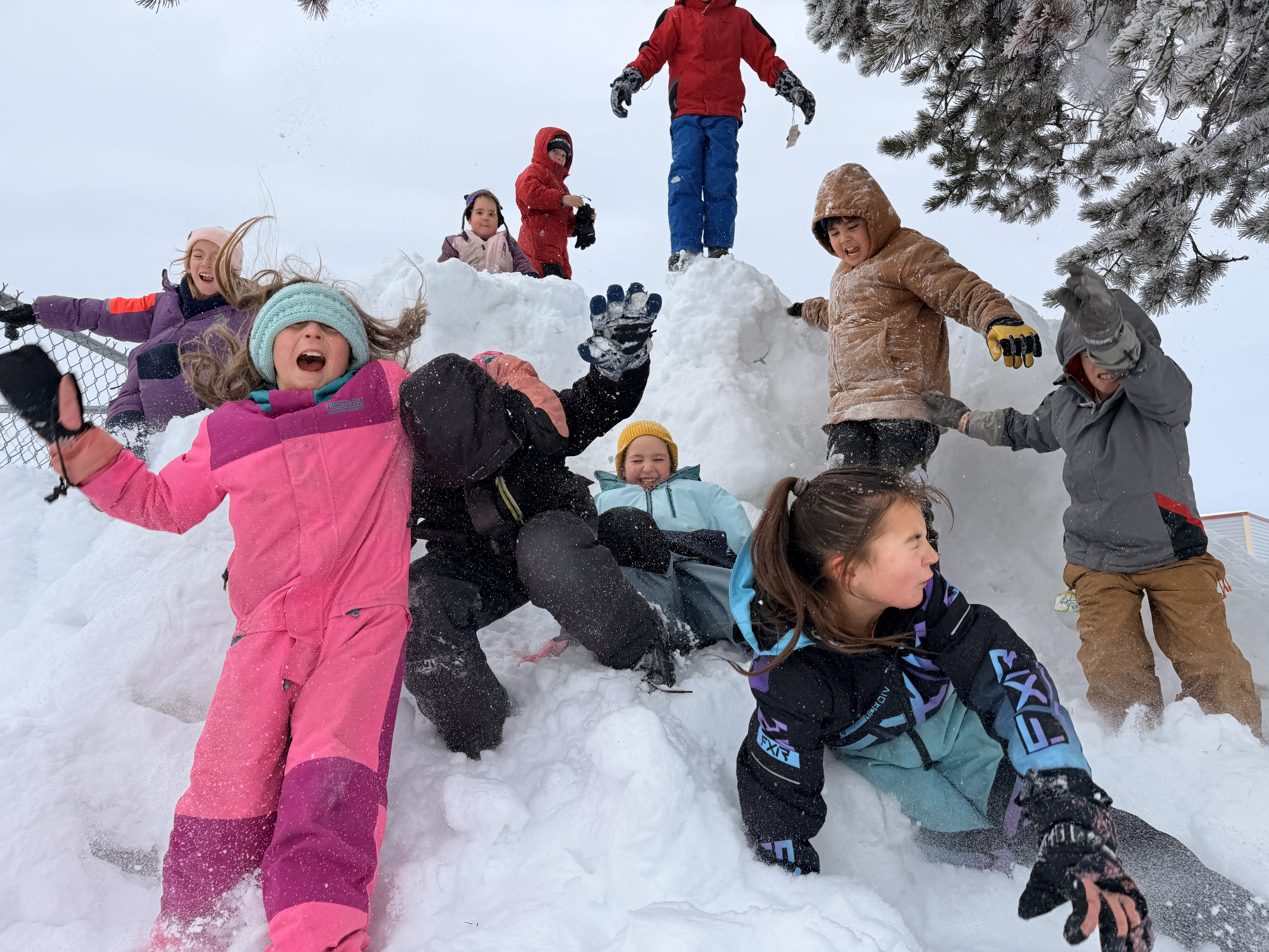 Cannonball2 Bonnie Sauder